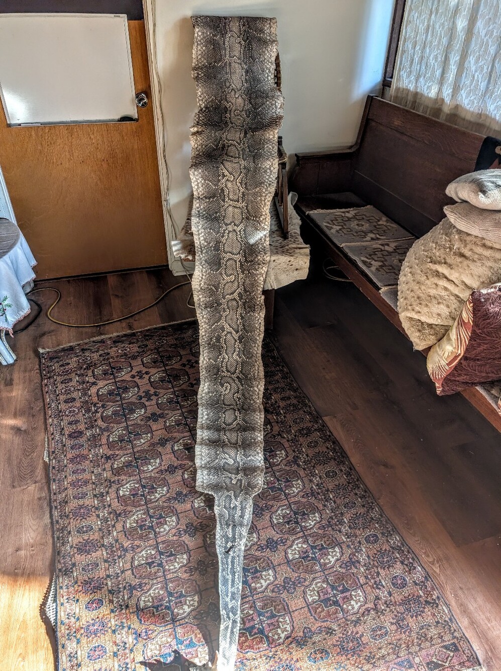 Authentic Reticulated Python Snake pelt 14feet - Picture 4 of 8